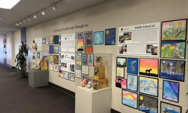 monterey regional airport, neurodiversity, neurodiversity exhibit
